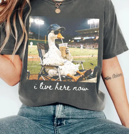 Baseball Goose- TShirt
